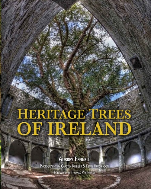Heritage Trees of Ireland | Irish Arts Review