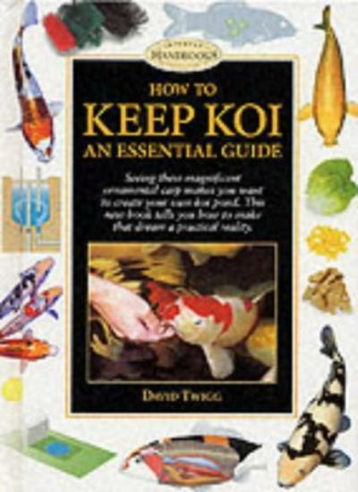 How to Keep Koi an Essential Guide (pond & Aquatic) Twigg David