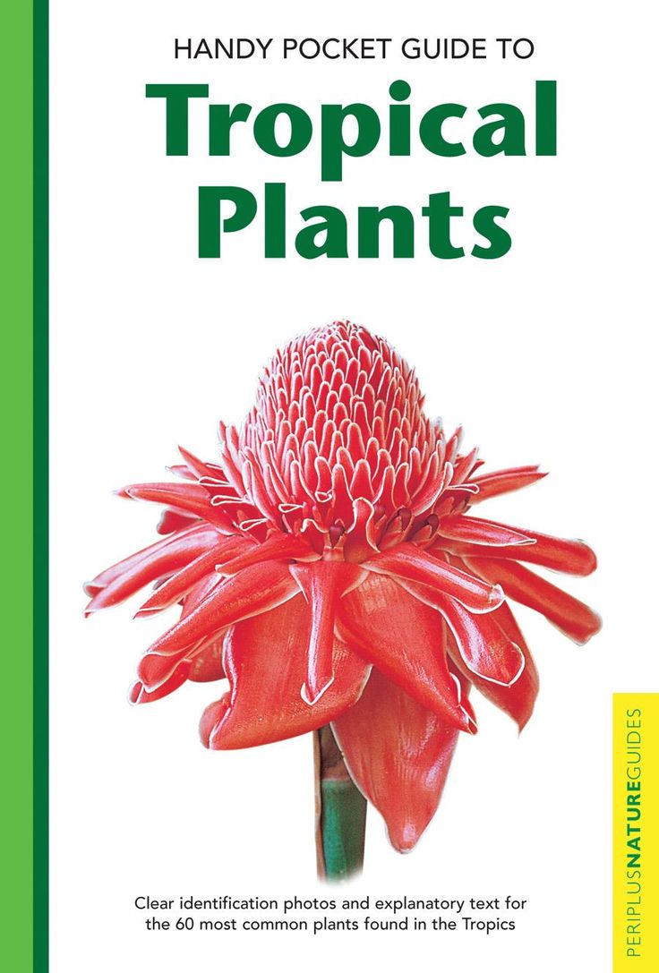 Handy Pocket Guide: Handy Pocket Guide to Tropical Plants (Paperback